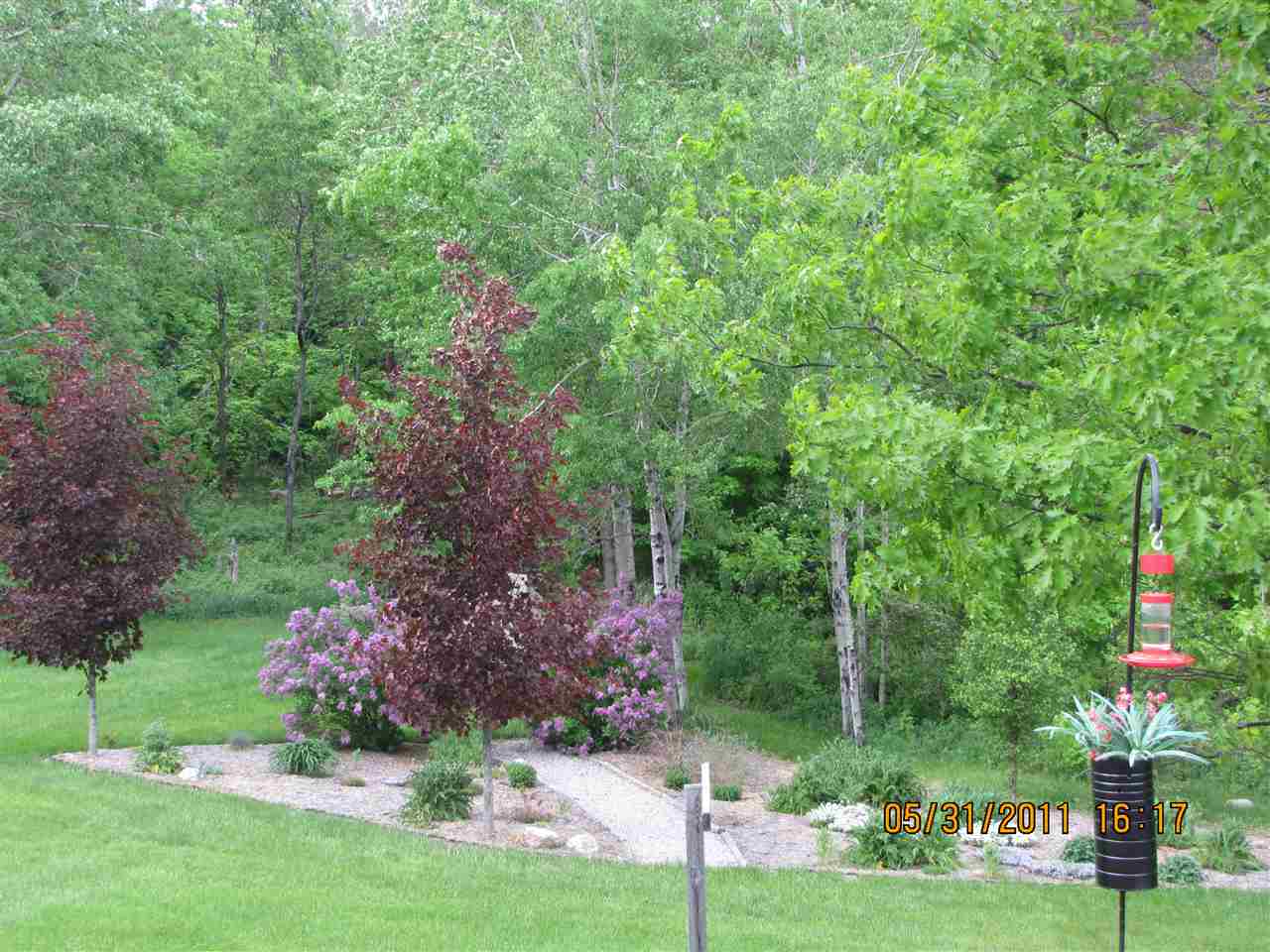 7258 West Phelps Road Manton, MI 49663 - Photo 29 of 41 1843444-83.JPG