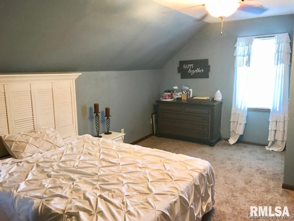 316 North 1st Street Alpha, IL 61413 - Photo 14 of 31 Gallery Image 14