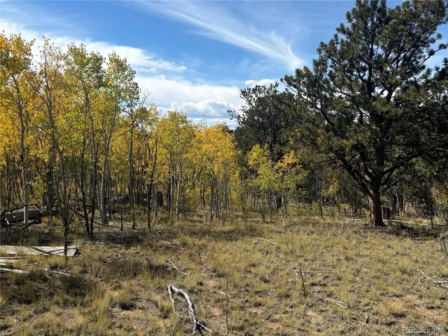 a view of outdoor space with trees