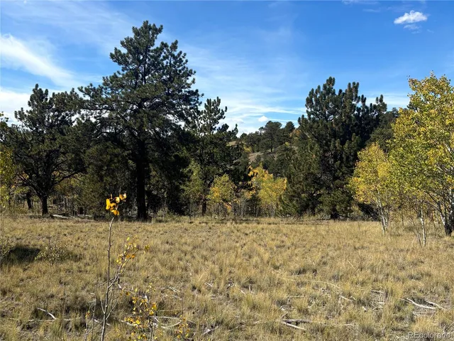 a view of outdoor space with trees