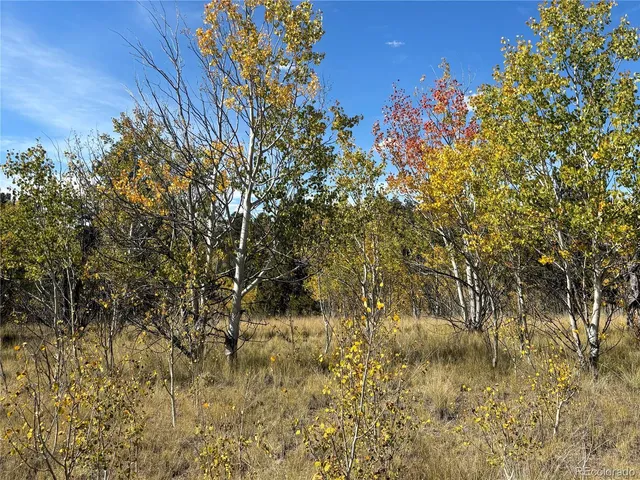 a view of a lake with a tree