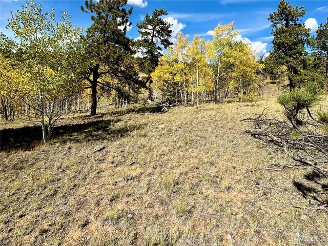 a view of a yard with wooden fence