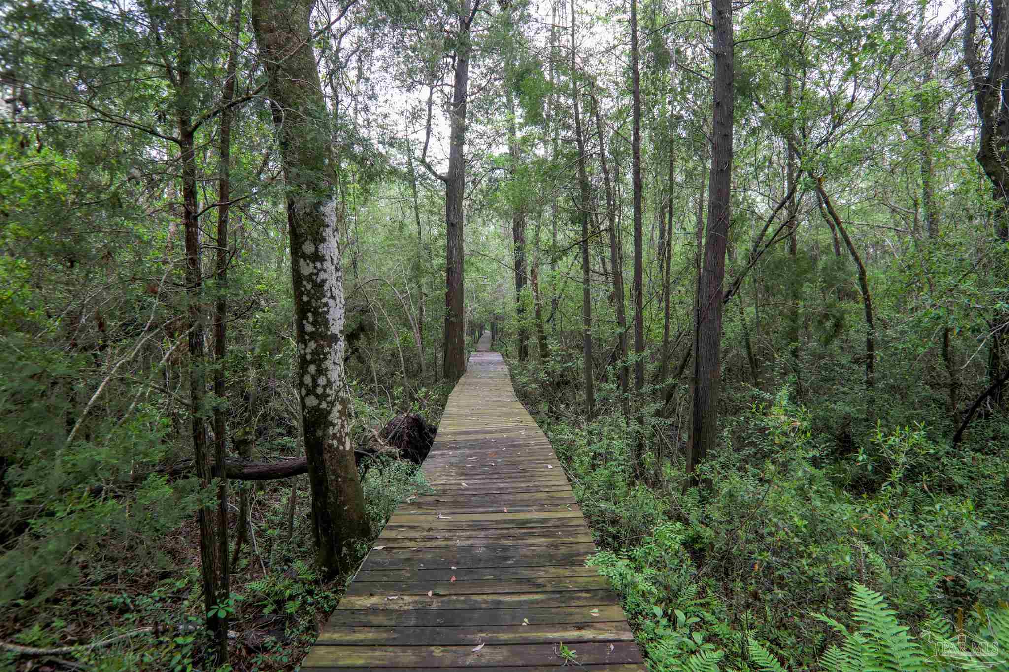 3603 Perdido Lake Road Cantonment, FL 32533 - Photo 8 of 37