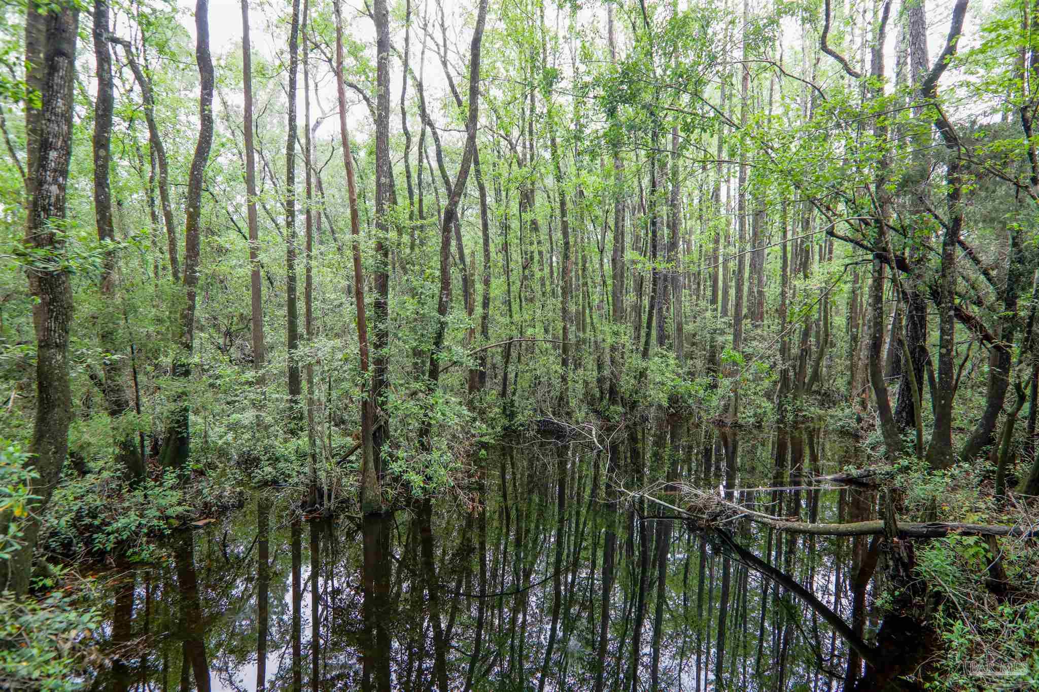 3603 Perdido Lake Road Cantonment, FL 32533 - Photo 10 of 37