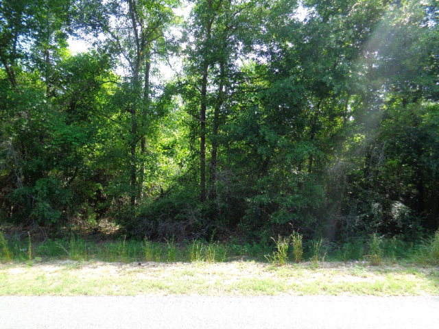3.9 Lucy Grade Road Ashford, AL 36312 - Photo 1 of 1