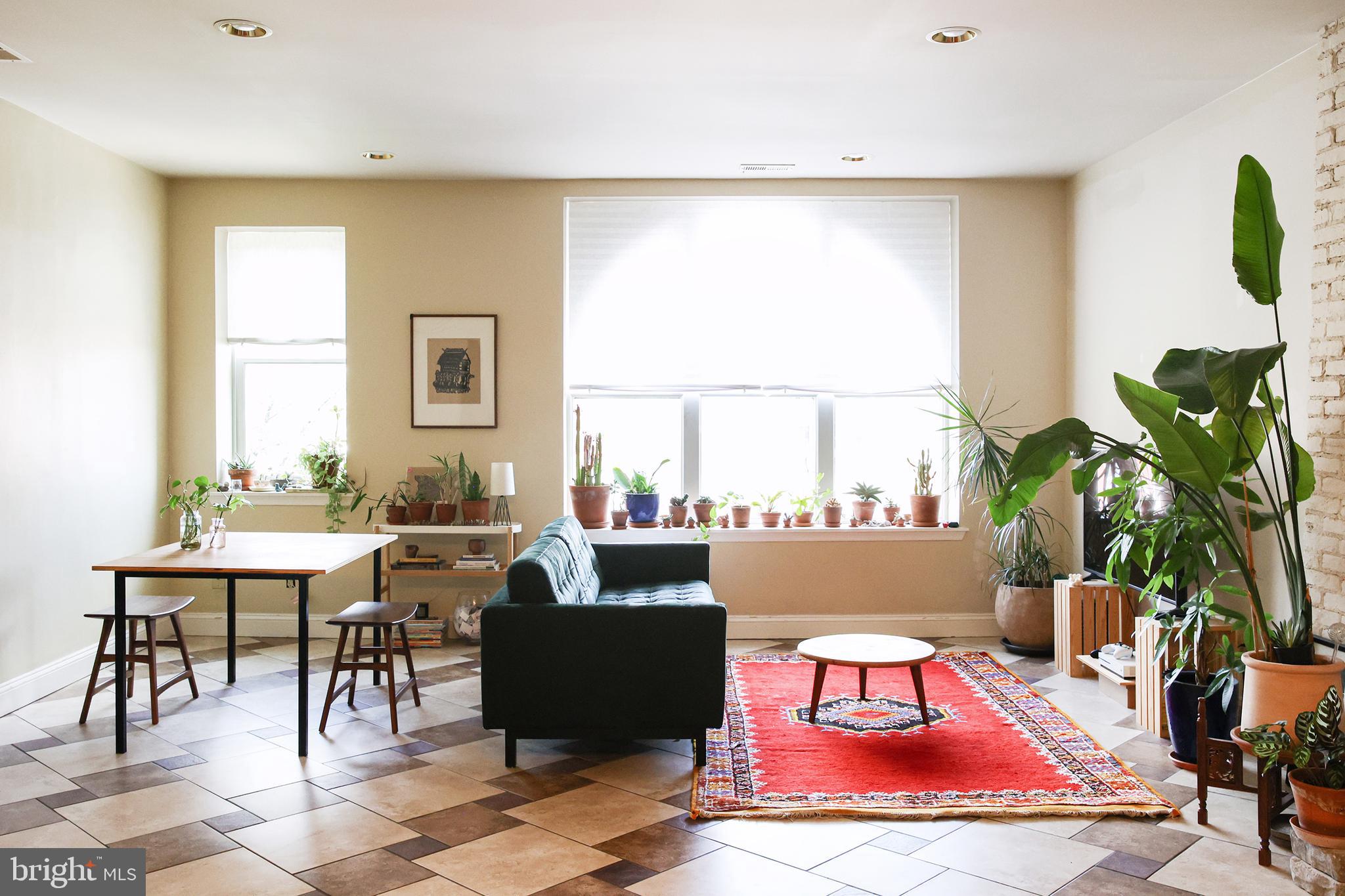 2226 Eutaw Place, Unit 3 Baltimore, MD 21217 - Photo 3 of 15 a living room with furniture a rug and a potted plant