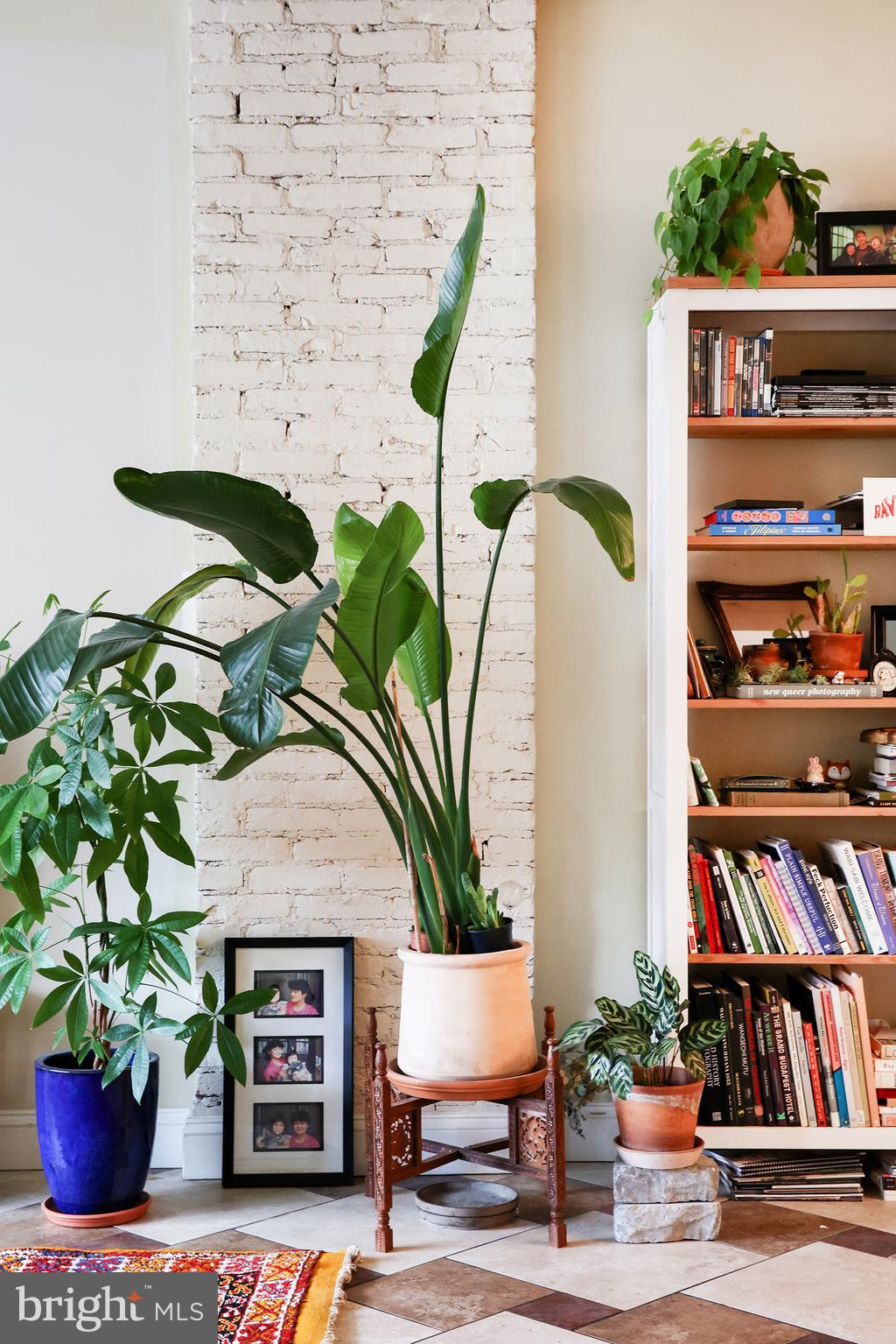 2226 Eutaw Place, Unit 3 Baltimore, MD 21217 - Photo 4 of 15 a potted plant sitting on top of a wooden floor