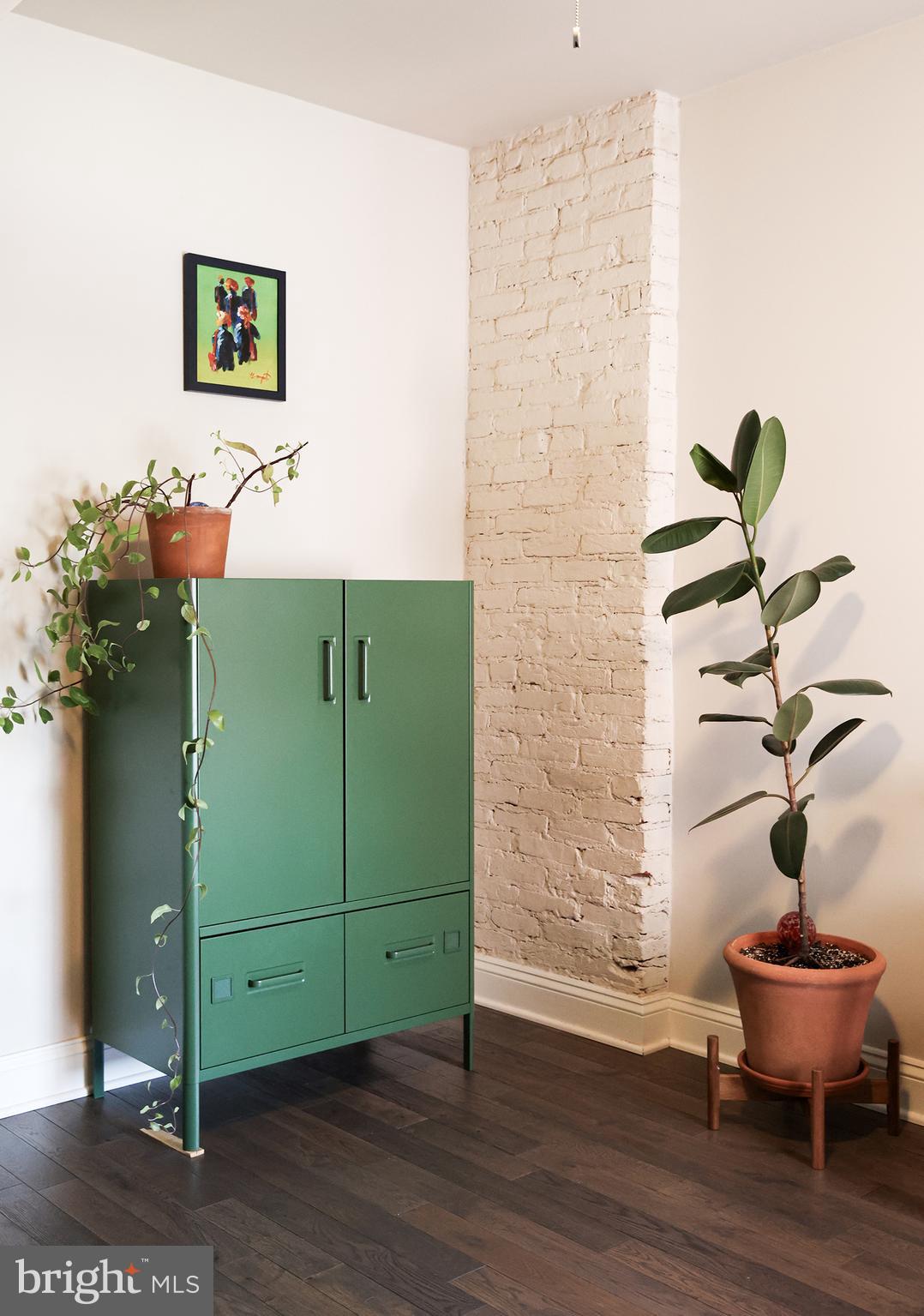 2226 Eutaw Place, Unit 3 Baltimore, MD 21217 - Photo 5 of 15 a room with a potted plant and a wooden floor