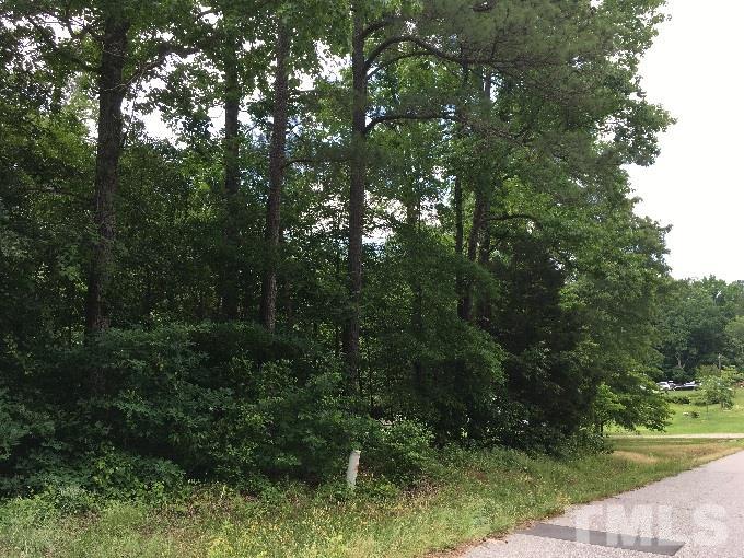 2323 Doran Place Raleigh, NC 27604 - Photo 1 of 4 a view of a forest with trees in the background