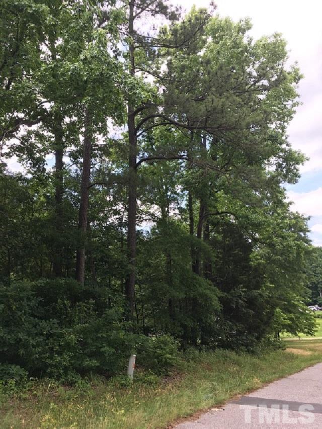 2323 Doran Place Raleigh, NC 27604 - Photo 4 of 4 a view of a forest with trees