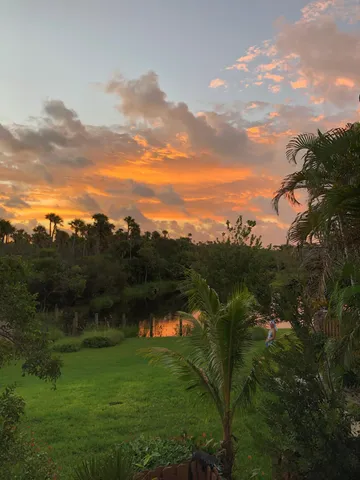 a view of a garden with wooden floor