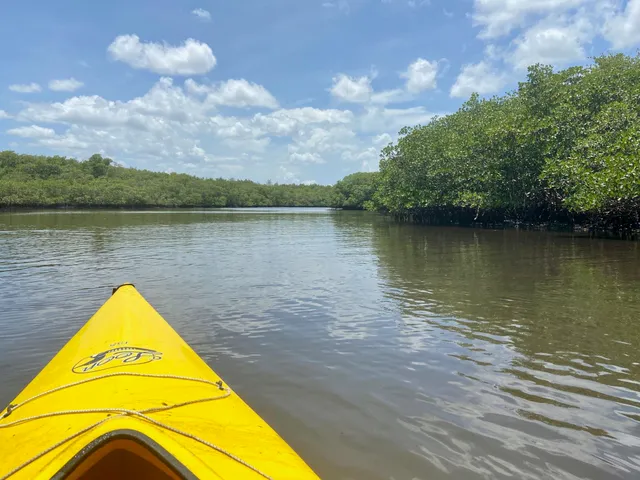 a close up of a sink in a forest