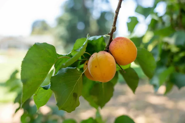 a street sign on a side of a road