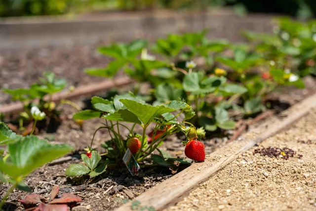 $5,950,000 | 1630 North Jameson Lane, Santa Barbara, CA 93108