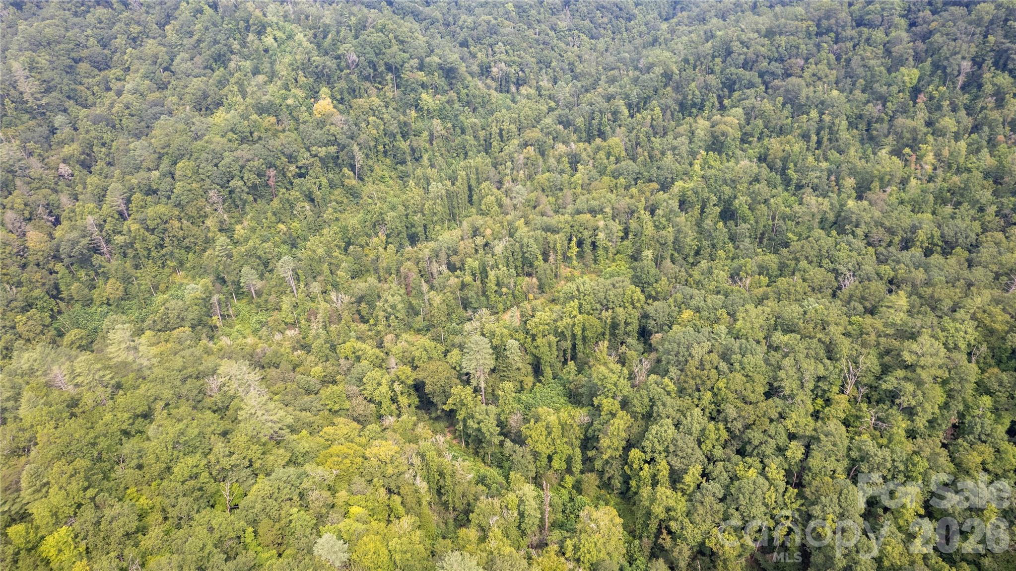 Tbd Tbd Collettsville Road, Unit 12 Lenoir, NC 28645 - Photo 11 of 32