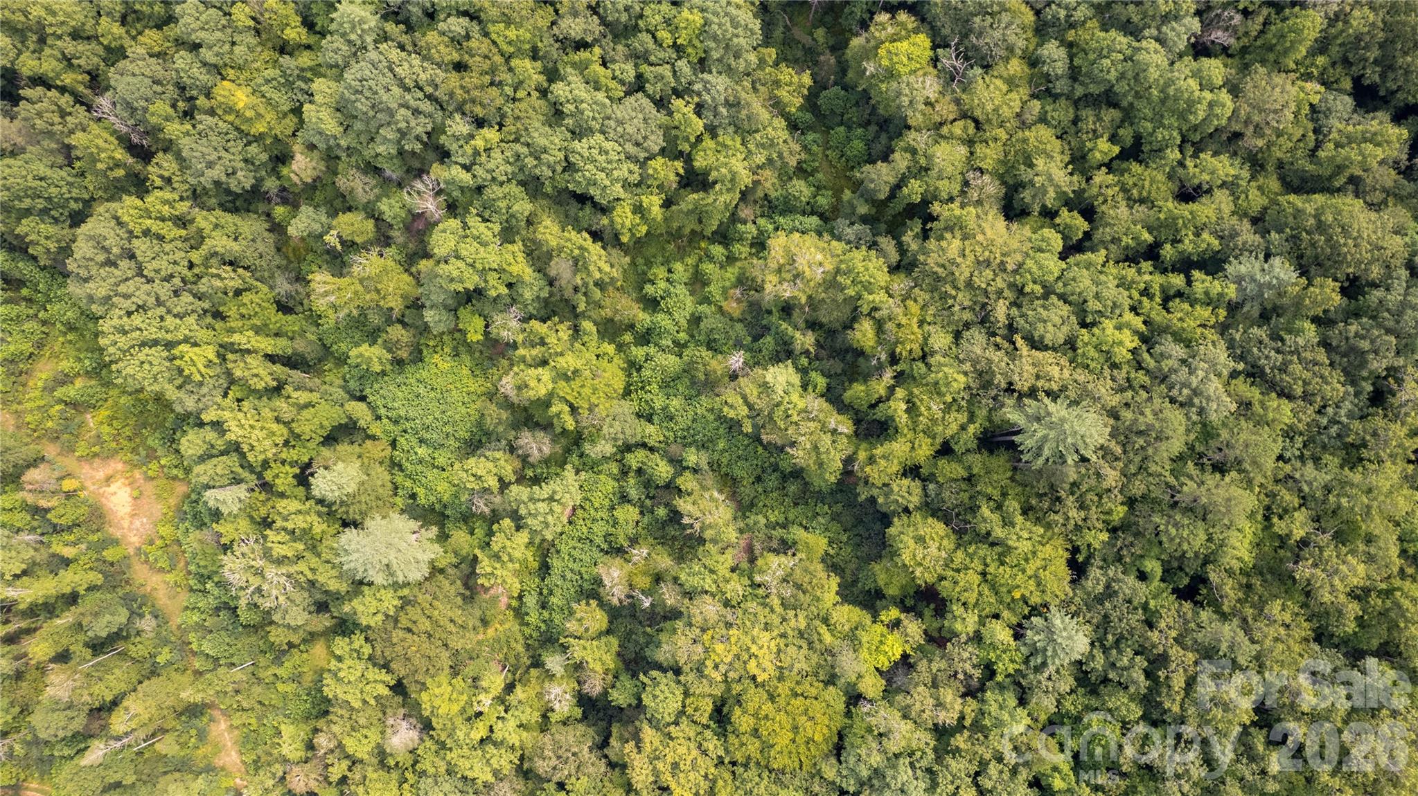 Tbd Tbd Collettsville Road, Unit 12 Lenoir, NC 28645 - Photo 12 of 32