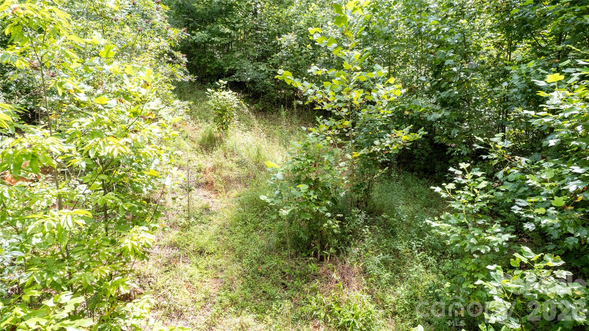 Tbd Tbd Collettsville Road, Unit 12 Lenoir, NC 28645 - Photo 13 of 32