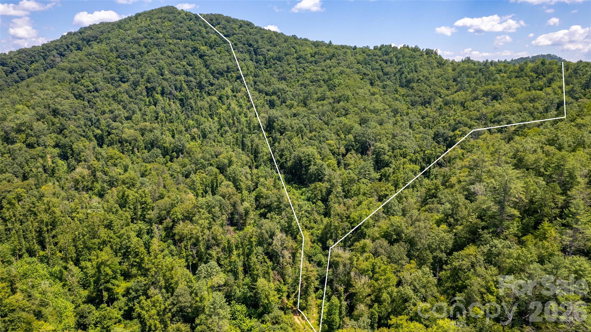 Tbd Tbd Collettsville Road, Unit 12 Lenoir, NC 28645 - Photo 2 of 32