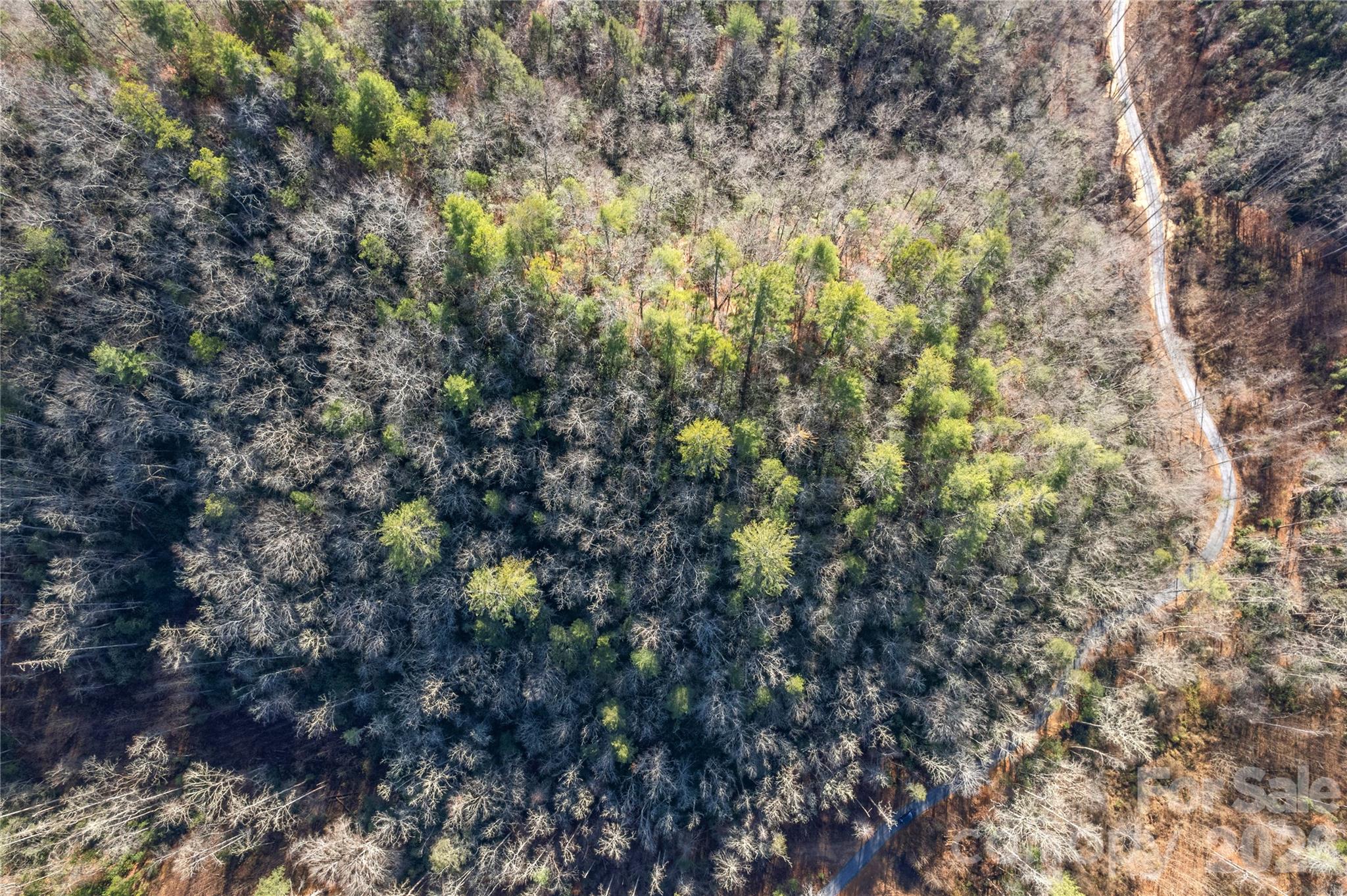 Tbd Tbd Collettsville Road, Unit 12 Lenoir, NC 28645 - Photo 26 of 32