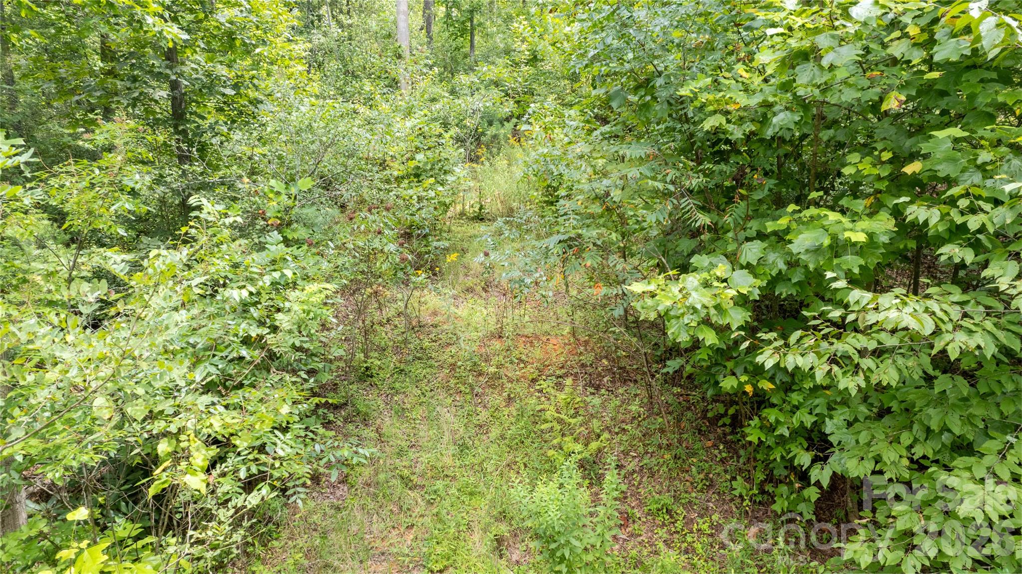 Tbd Tbd Collettsville Road, Unit 12 Lenoir, NC 28645 - Photo 5 of 32