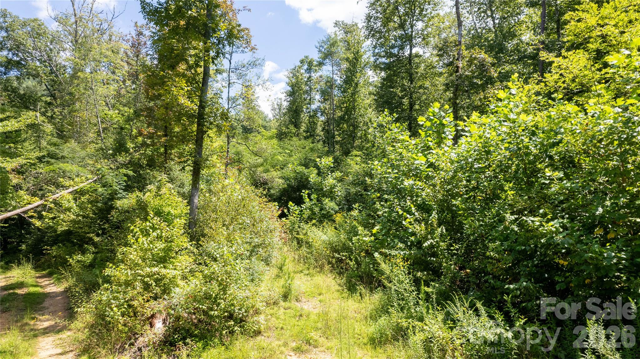 Tbd Tbd Collettsville Road, Unit 12 Lenoir, NC 28645 - Photo 6 of 32