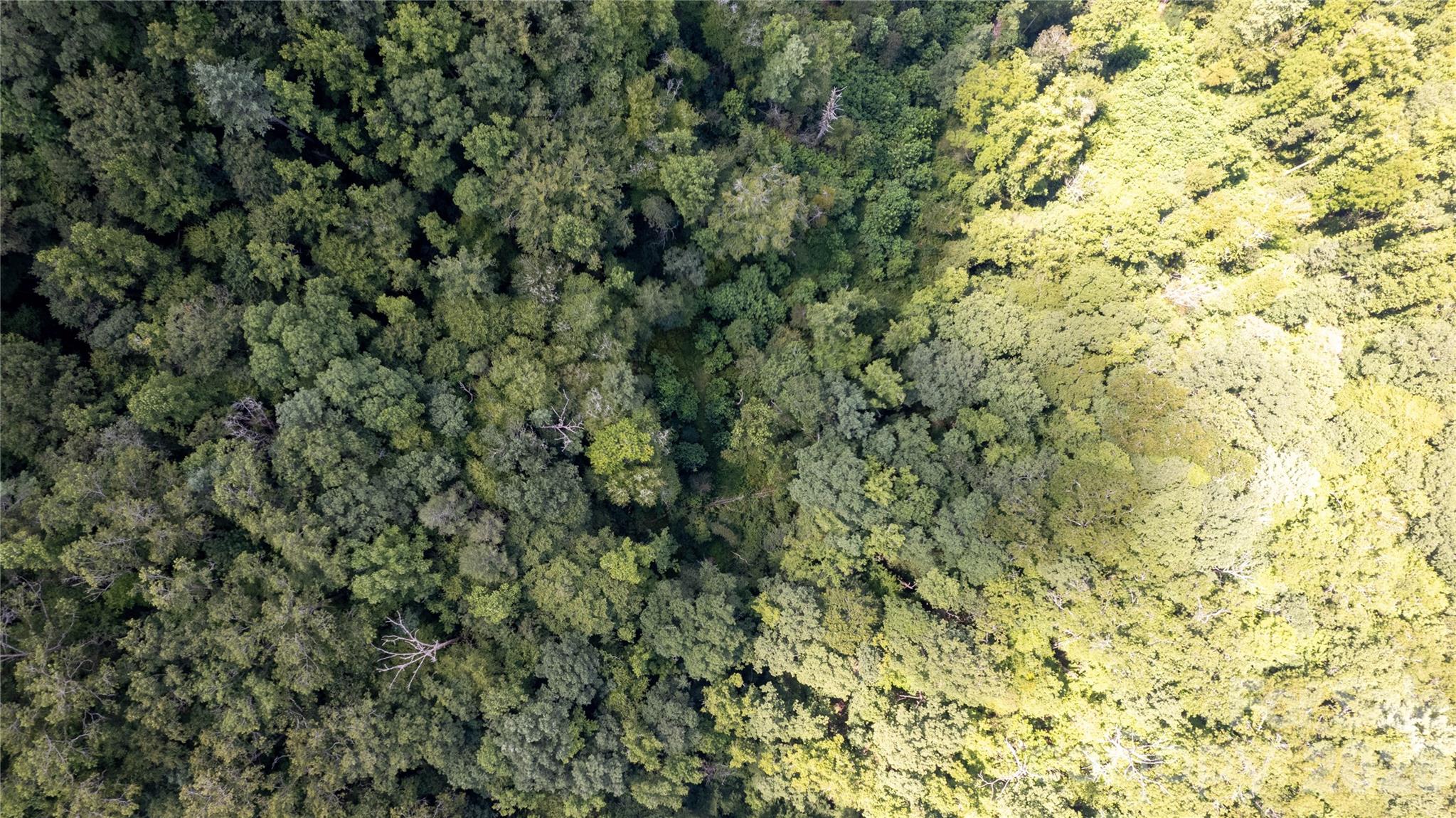 Tbd Tbd Collettsville Road, Unit 12 Lenoir, NC 28645 - Photo 8 of 32