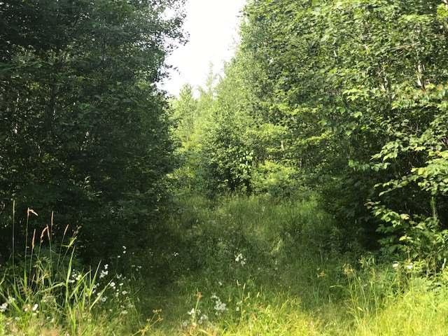 W4427 Hedin Road Ogema, WI 54459 - Photo 14 of 19 Gallery Image 14