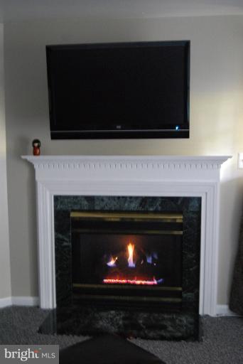 9822 Sherwood Farm Road Owings Mills, MD 21117 - Photo 4 of 29 basement Family Room Gas Fireplace