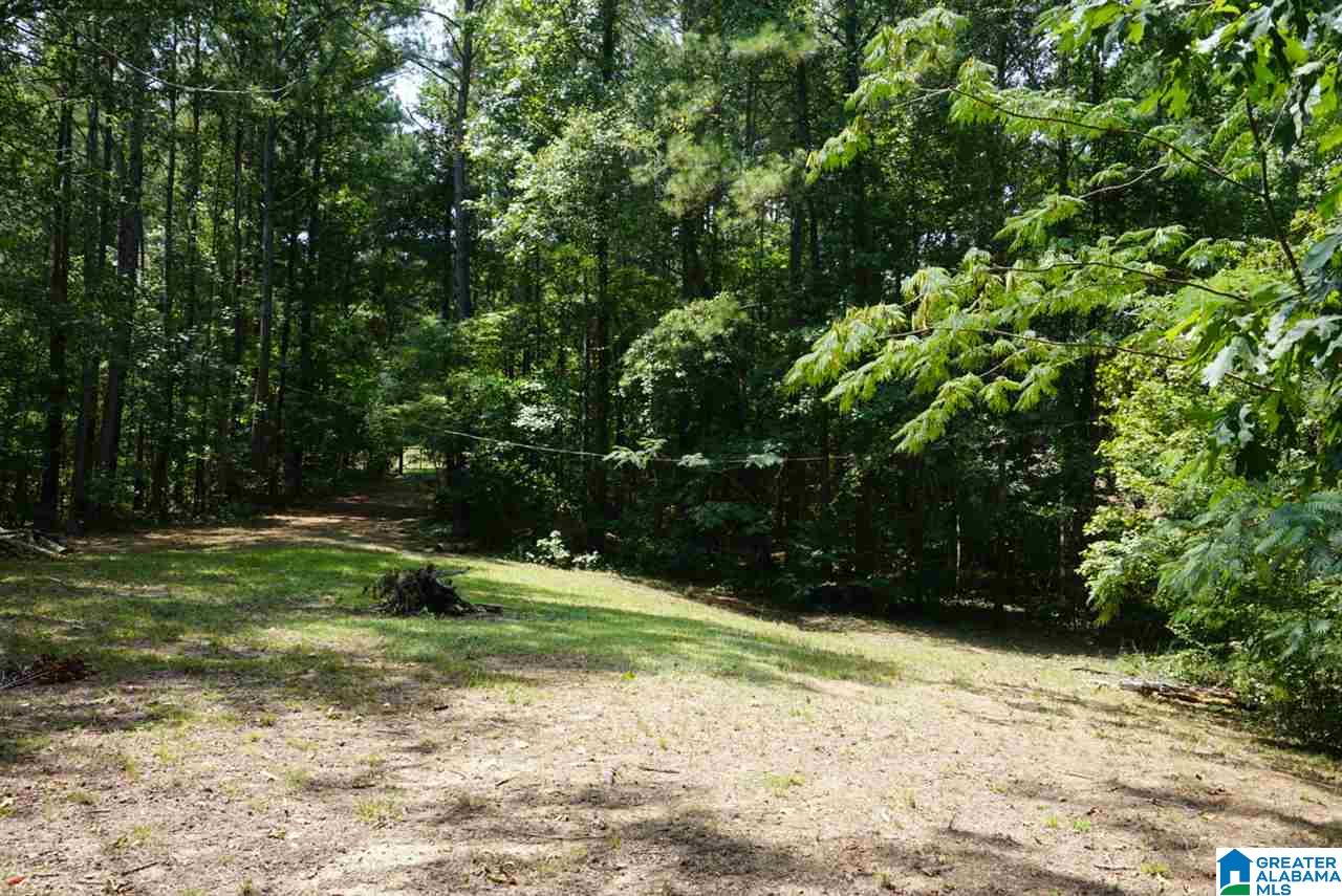 893 Old Patton Ferry Road, Unit 2 Adger, AL 35006 - Photo 8 of 9