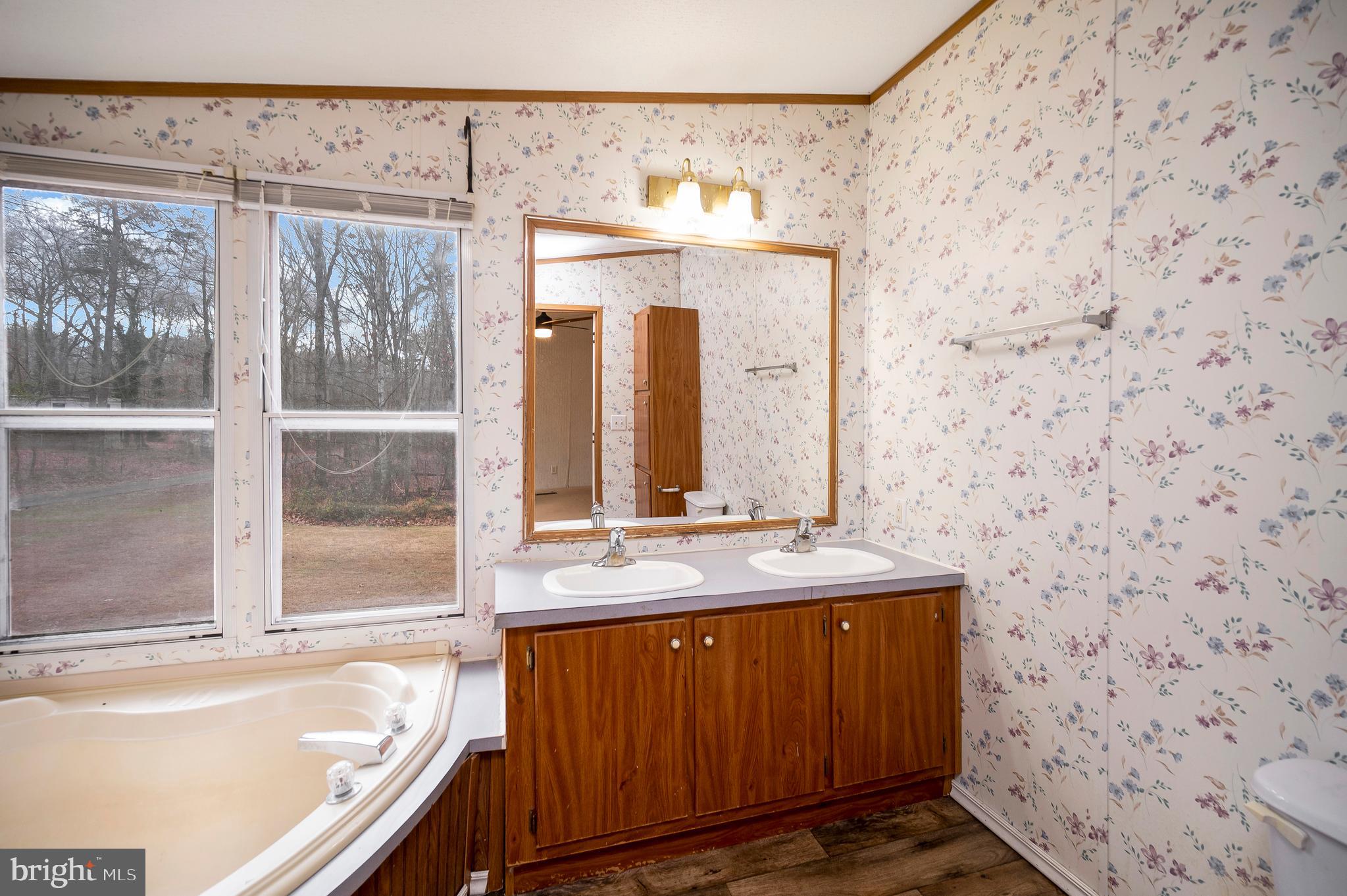 12619 Orange Plank Road Locust Grove, VA 22508 - Photo 38 of 43 a bathroom with a sink a mirror and a bathtub