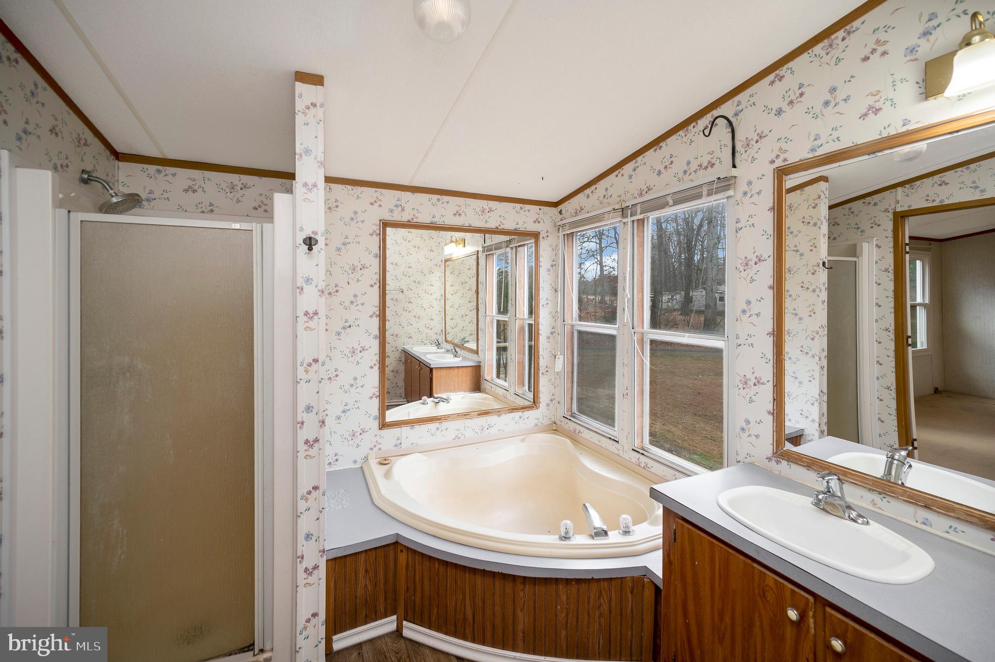 12619 Orange Plank Road Locust Grove, VA 22508 - Photo 39 of 43 a bathroom with a sink a mirror and a shower