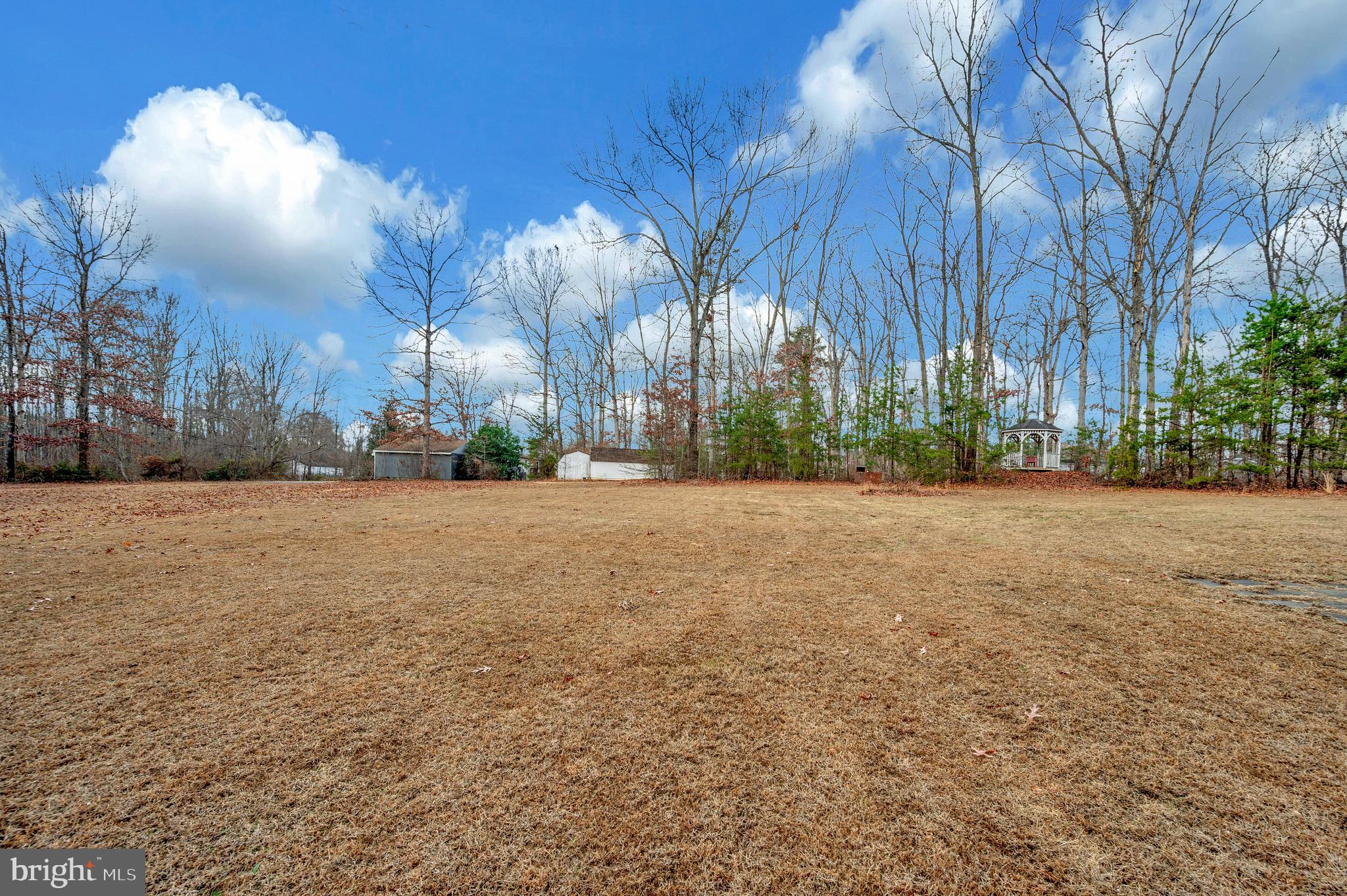 12619 Orange Plank Road Locust Grove, VA 22508 - Photo 6 of 43 a street view with large trees