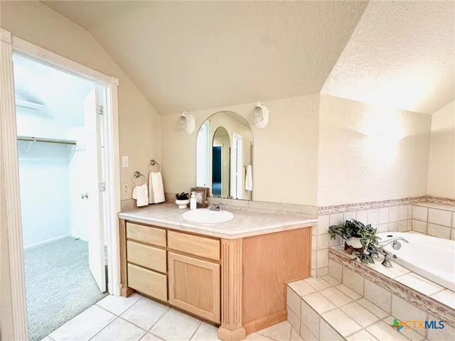 a bathroom with a sink a mirror and a bathtub
