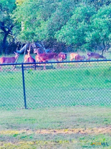 a view of a yard with an outdoor space