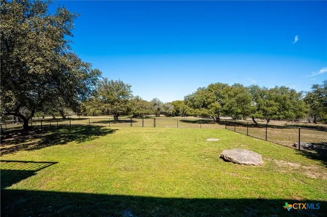 a view of flowers and garden in a yard
