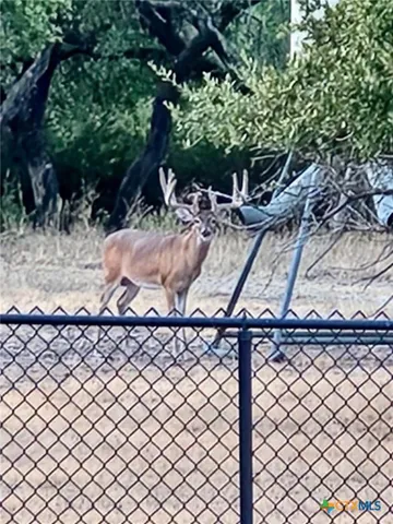 a view of a basket ball court