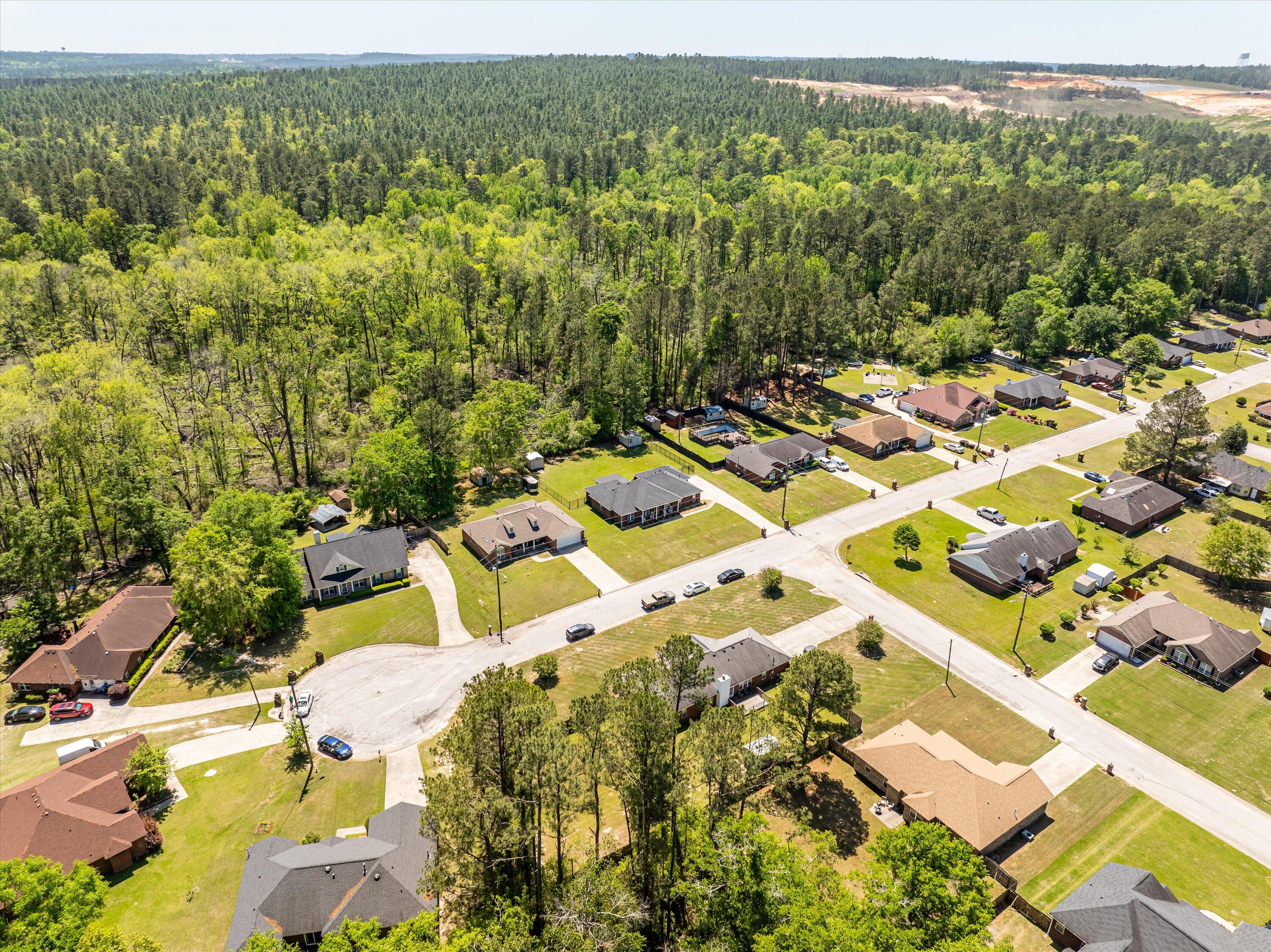 2795 Davis Mill Road Hephzibah, GA 30815 - Photo 72 of 75 72-DJI_0295-HDR