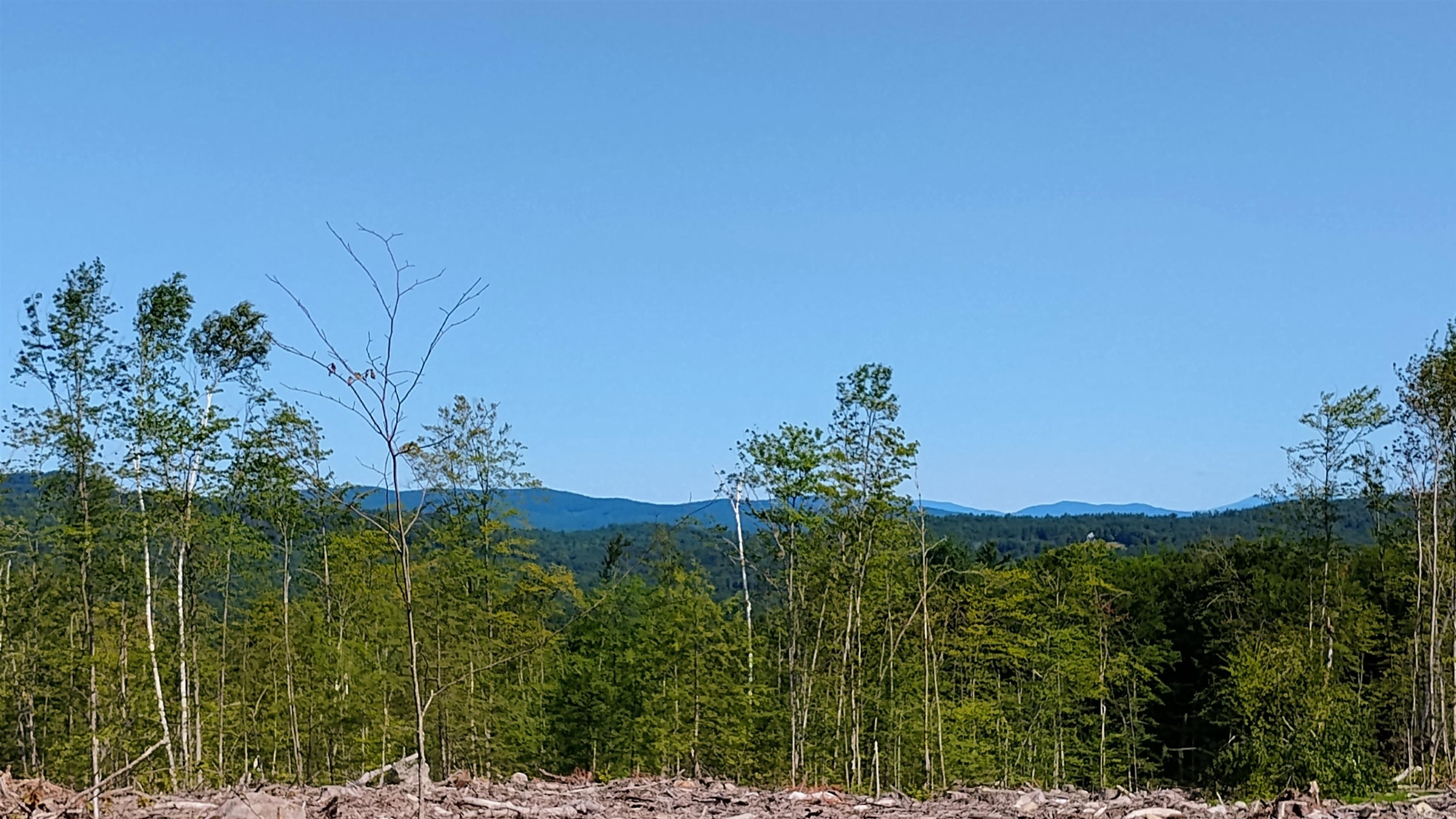 Xx Issac Colby Road Sanbornton, NH 03269 - Photo 1 of 11 Gallery Image 1