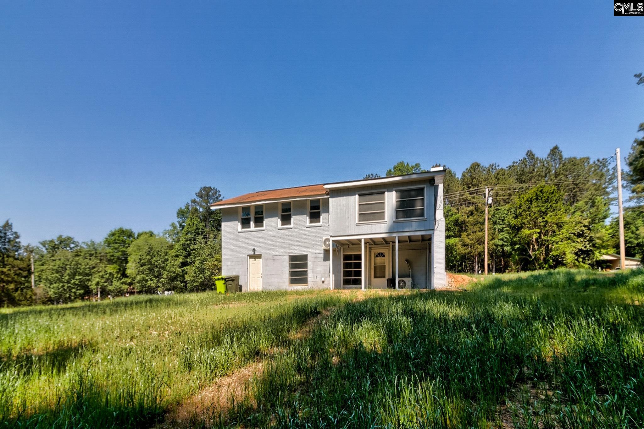 1133 Old Hilton Road Chapin, SC 29036 - Photo 6 of 50
