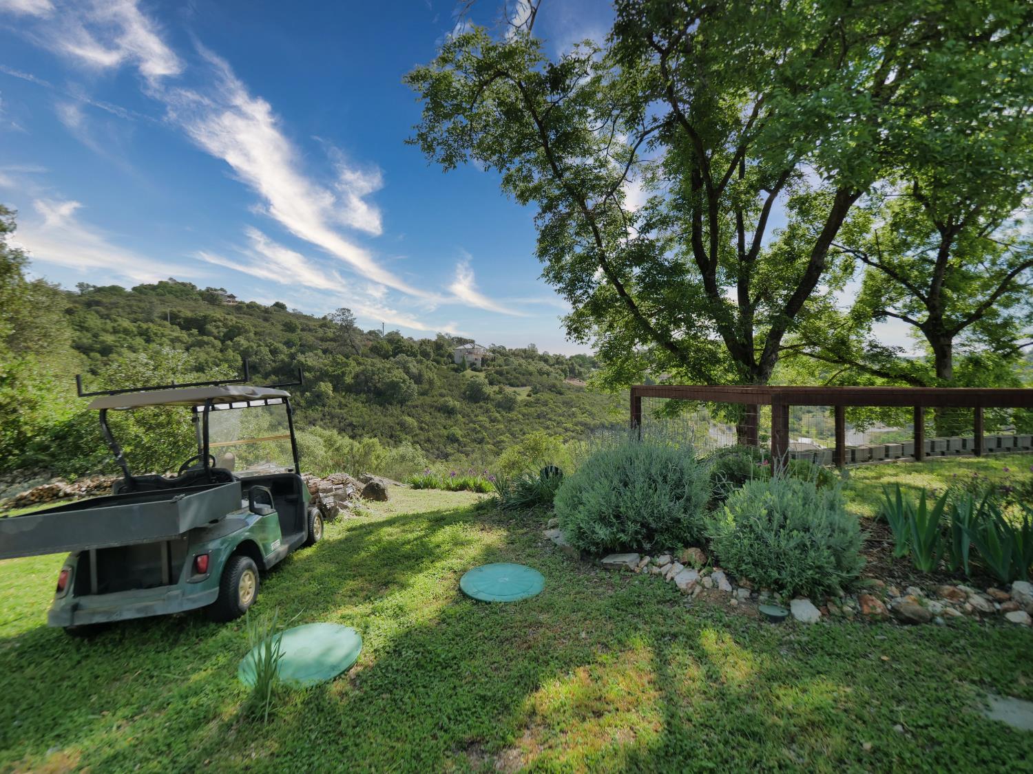 2405 Greensboro Road Placerville, CA 95667 - Photo 59 of 99 a view of a garden with a bench in a garden