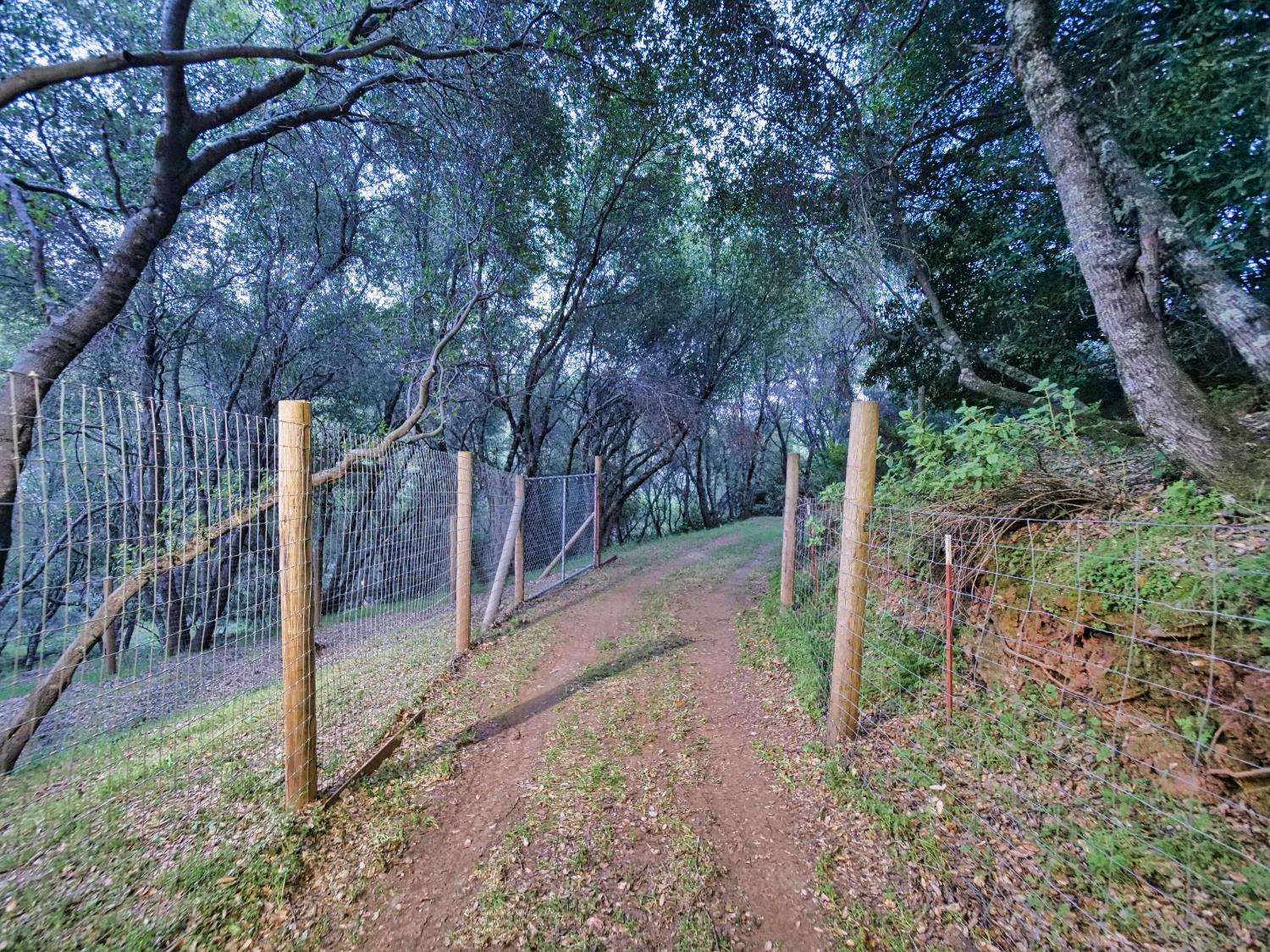 2405 Greensboro Road Placerville, CA 95667 - Photo 87 of 99 a backyard of a house with lots of green space