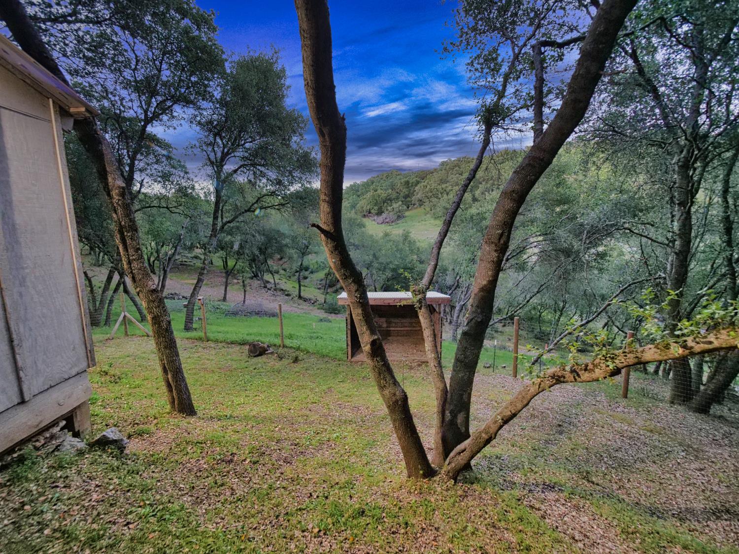 2405 Greensboro Road Placerville, CA 95667 - Photo 88 of 99 a view of a yard with a tree