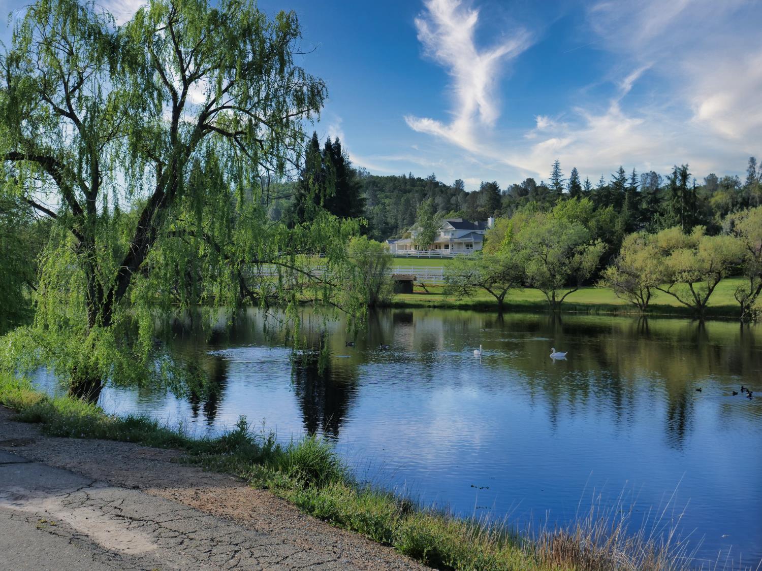 2405 Greensboro Road Placerville, CA 95667 - Photo 90 of 99 a body of water with a tree in the background