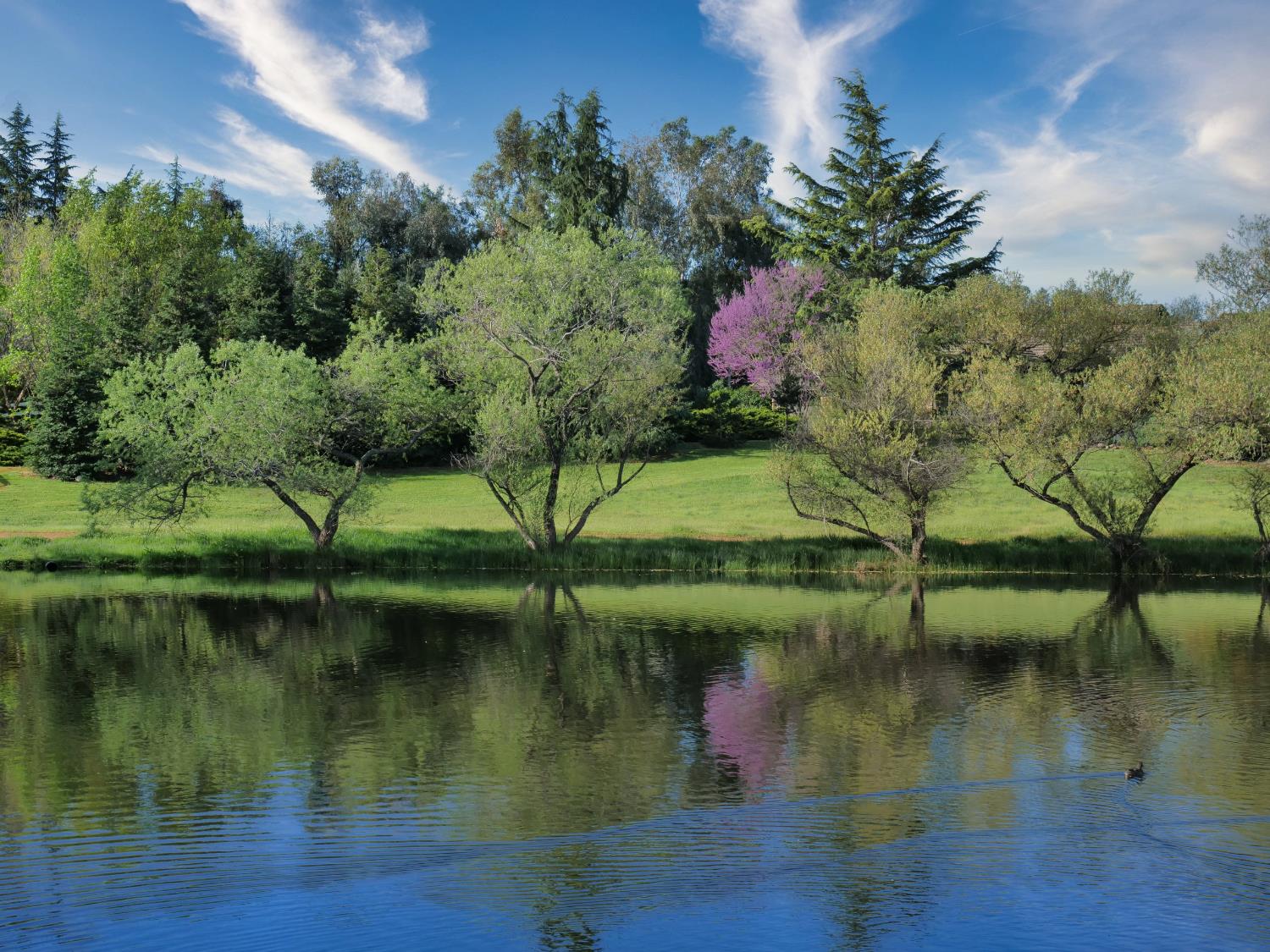 2405 Greensboro Road Placerville, CA 95667 - Photo 92 of 99 a view of lake