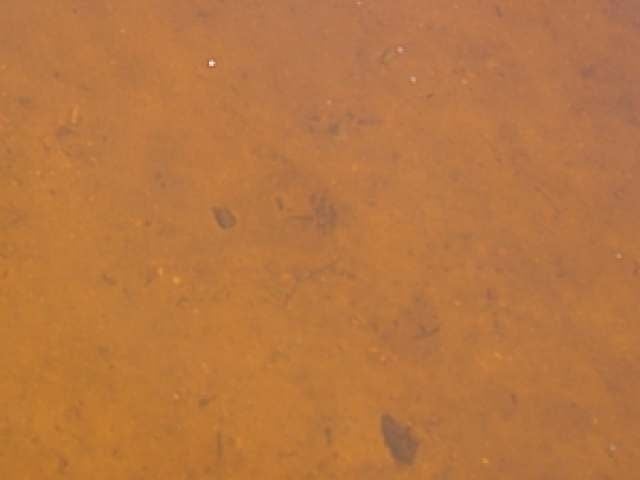 9023 North Star Road Presque Isle, WI 54557 - Photo 15 of 20 Gallery Image 15
