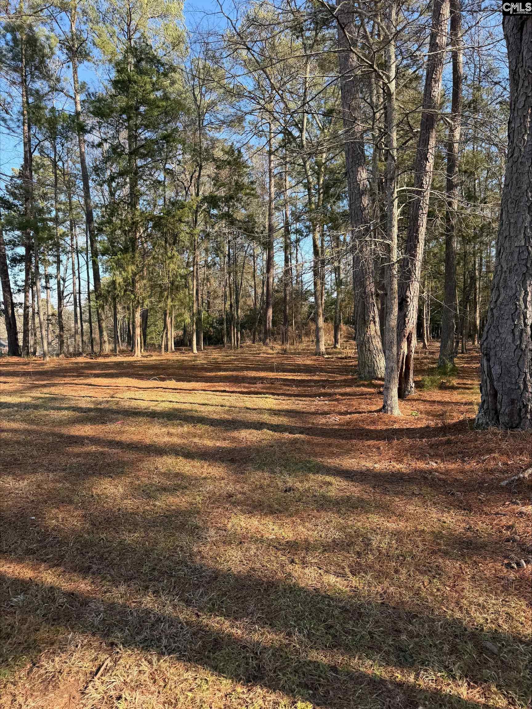 259 Gravel Road Prosperity, SC 29127 - Photo 21 of 22