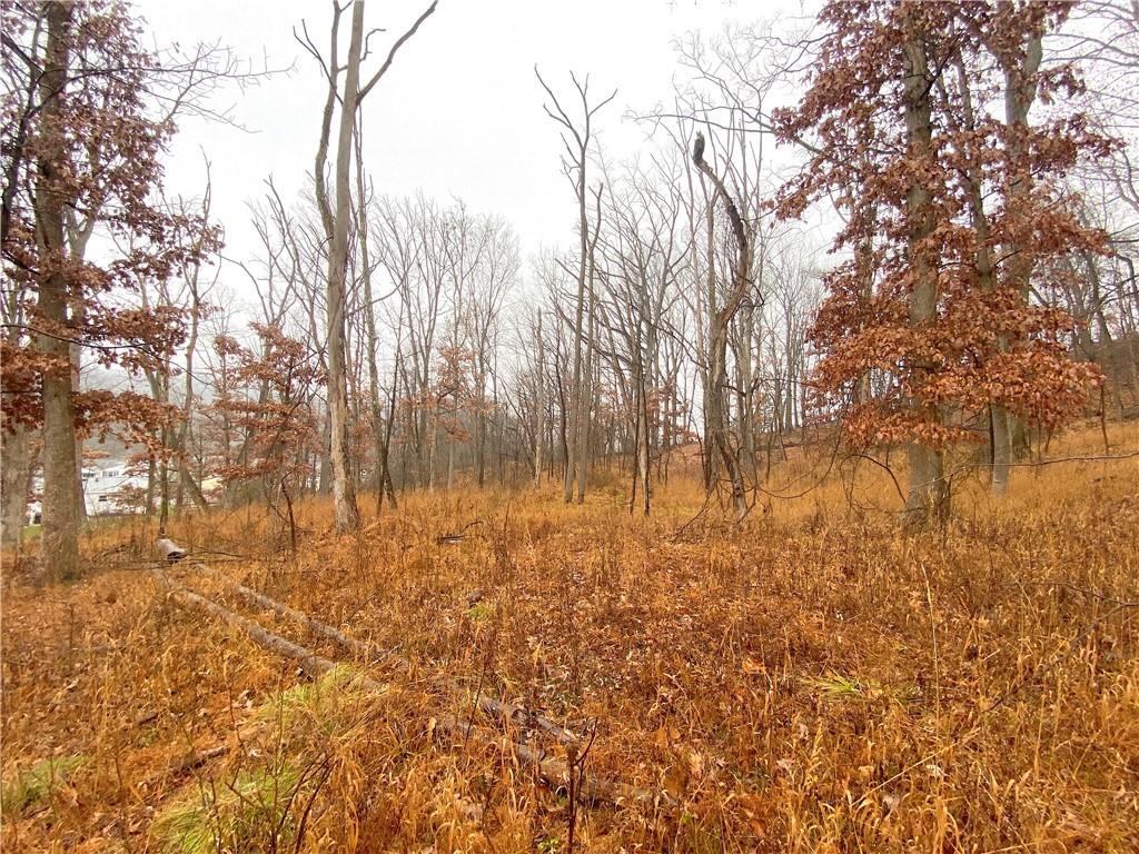 0 Blue Ridge Road Pittsburgh, PA 15239 - Photo 1 of 17 Gallery Image 1
