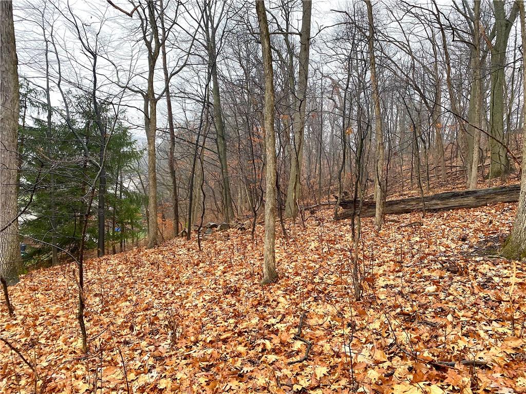 0 Blue Ridge Road Pittsburgh, PA 15239 - Photo 12 of 17 Gallery Image 12