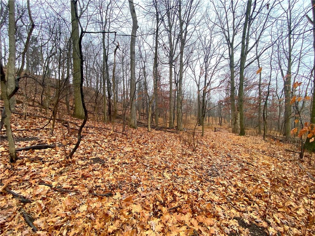 0 Blue Ridge Road Pittsburgh, PA 15239 - Photo 13 of 17 Gallery Image 13