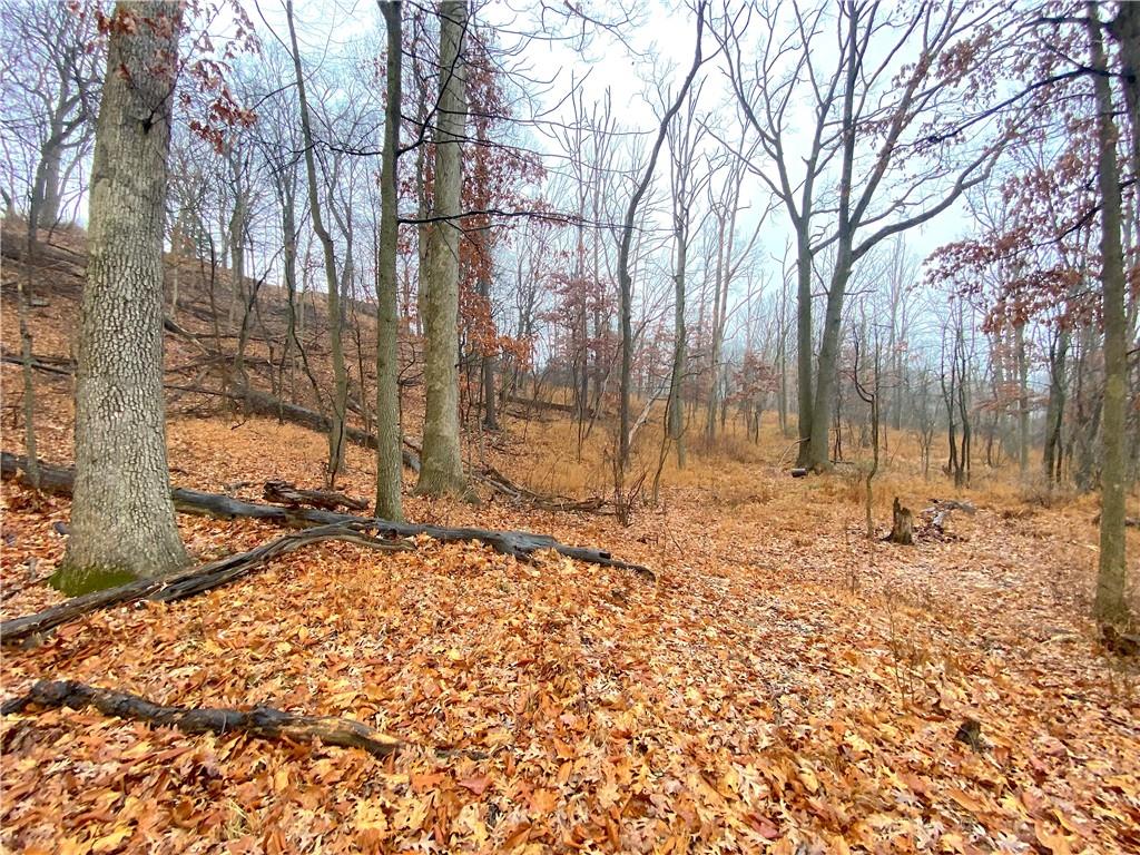 0 Blue Ridge Road Pittsburgh, PA 15239 - Photo 14 of 17 Gallery Image 14